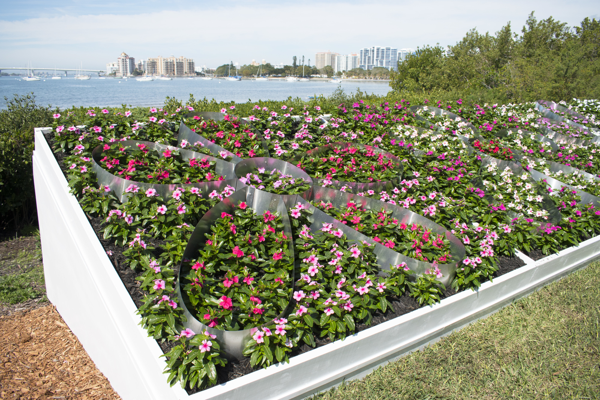 A display of a variety of Madagascar periwinkle are planted in the shape of daisy flowers – an image often featured in Warhol’s work – overlooking Sarasota Bay. Photo by Niki Kottmann