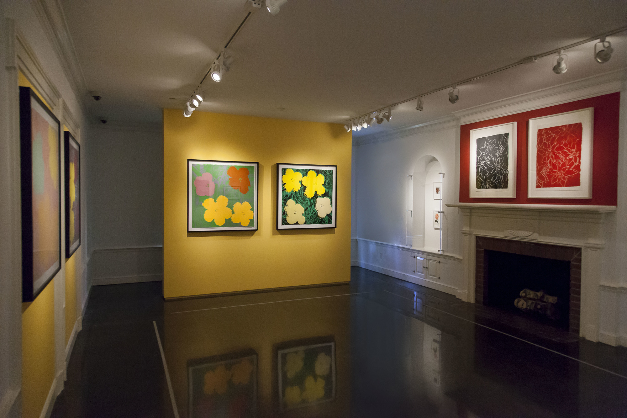 The north gallery features four silkscreen prints, as well as early and later works by the artist from the 1950s through 1980s that focus on floral imagery. Photo courtesy of Selby Gardens/Matthew Holler