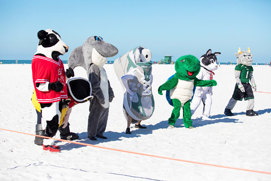 Local mascots get ready to race each other at Siesta Key. Rocky D. Bull, far right, was the winner. Photo by Conor Goulding/Mote Marine Laboratory.