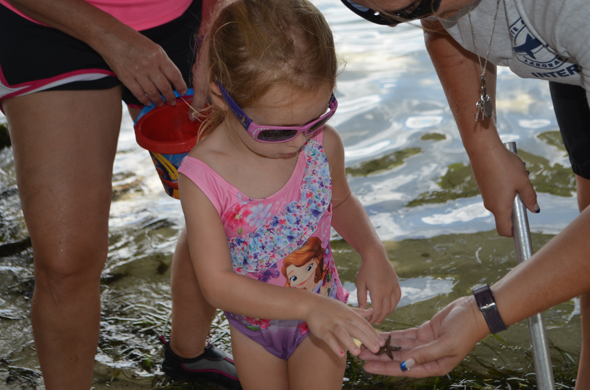 Leandra DiMarco, 3, touches a starfish during 