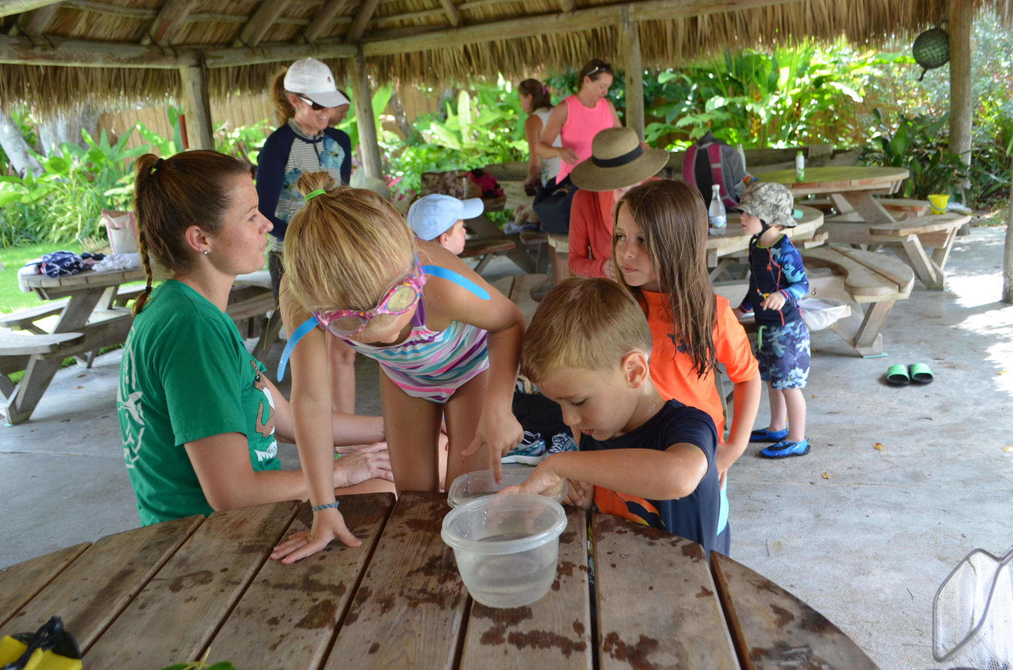 Makaela Leader, 4, and Harry Duke, 5, check out the marine wildlife campers found in the water during 