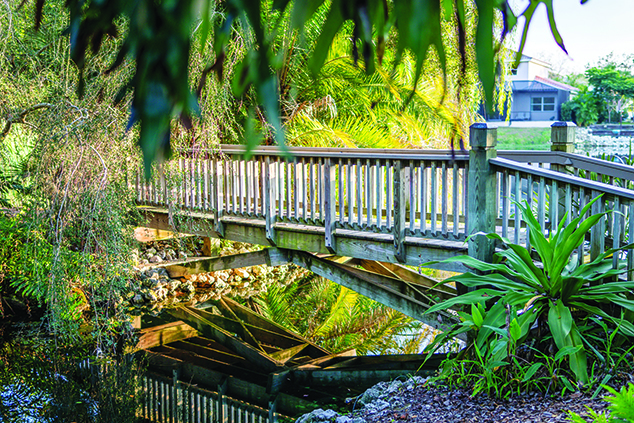A Japanese-inspired bridge crosses the ponds, and their intersection provides an excellent spot for bird watching.