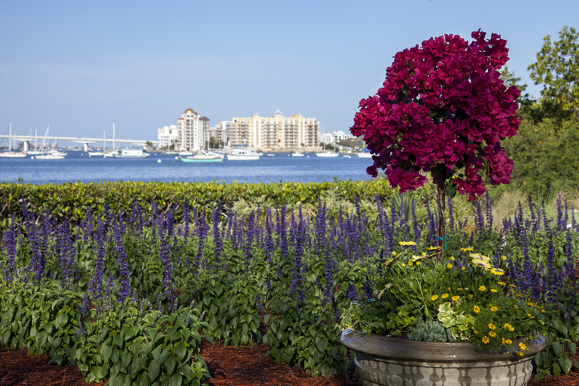 Selby’s outdoor gardens are enhanced to evoke the French Riviera. Photo by Matthew Holler.