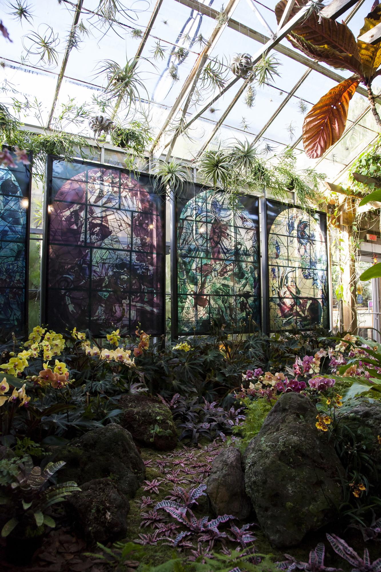 The exhibition starts in a glass conservatory, featuring replicas of Chagall’s stained glass and a cathedral of living plants. Courtesy of Artists Rights Society.