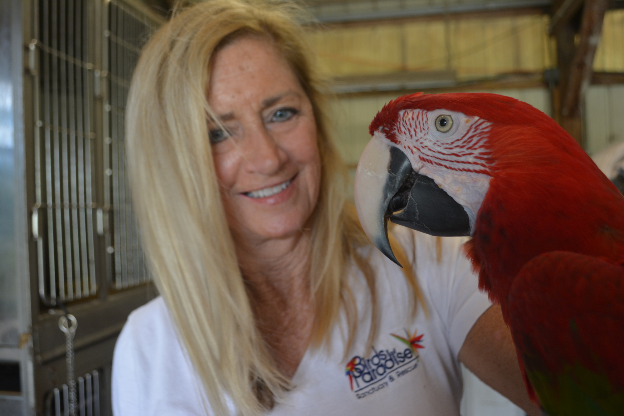 Debbie Huckaby with Billy, the green-winged macaw.