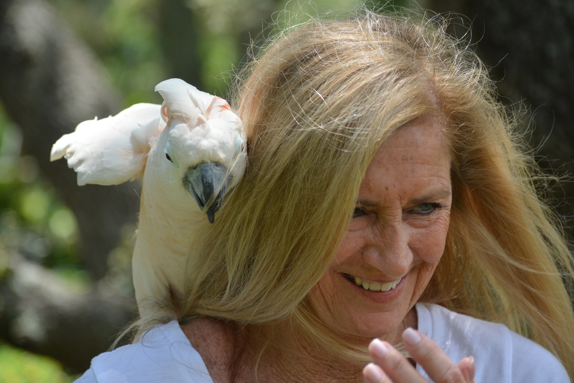 Debbie Huckaby with Aquiel, a Moluccan Cockatoo