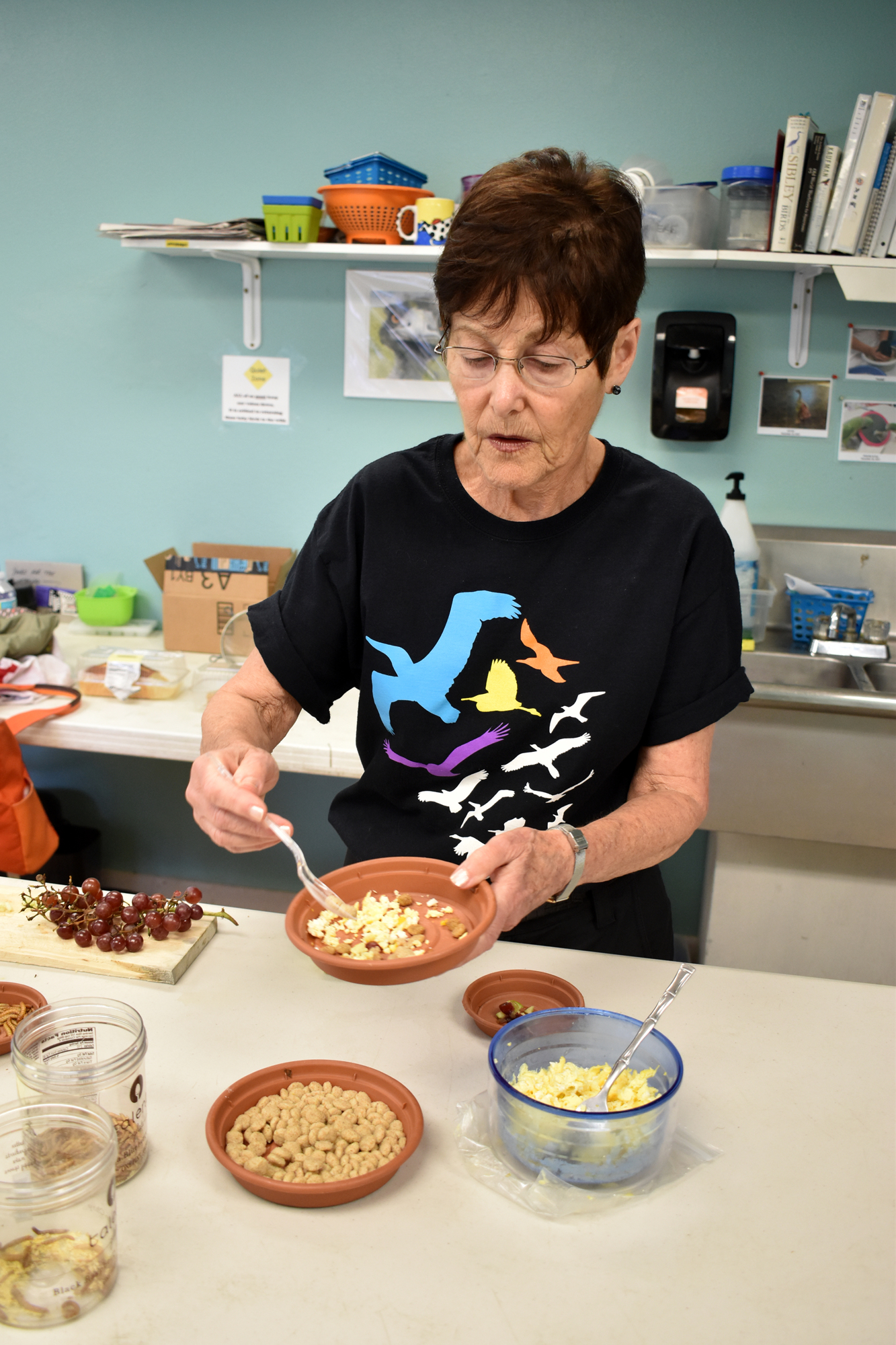 Nancy Curtis prepares food for the baby birds in the avian hospital. The meals consist of scrambled eggs, cut up grapes and chopped mealworms.