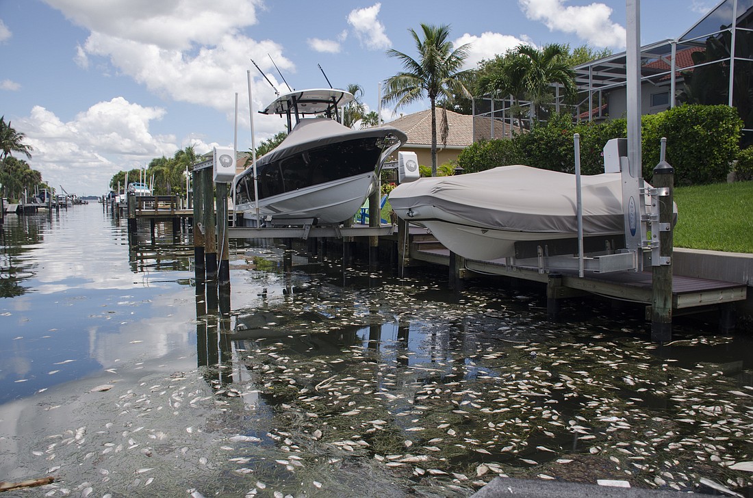 Longboat Key gears up to deal with red tide's fish kills Your Observer