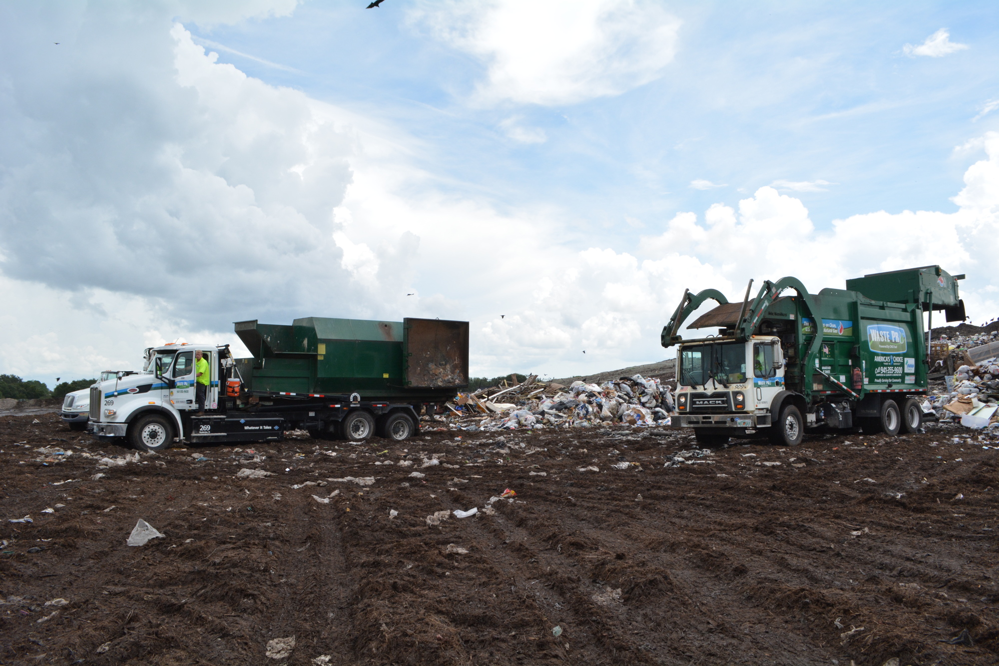 Dump trucks deliver waste to the Lena Road Landfill, which is accepting fish killed by red tide.