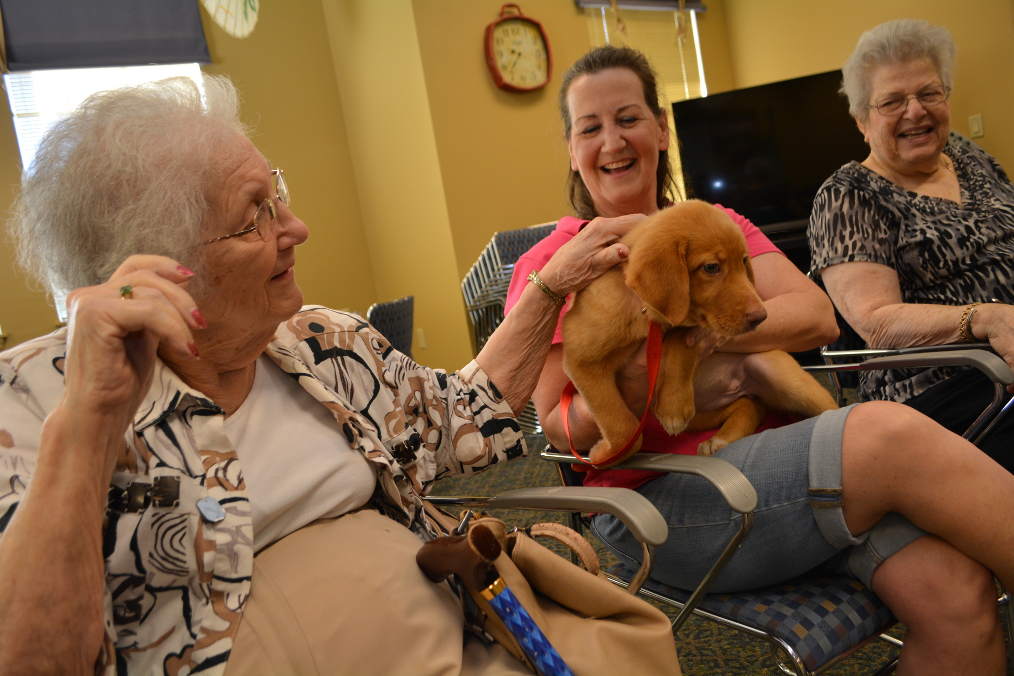 Donna Mokrzynski pets Barnie, held by Puppies with Purpose lead volunteer Tina Pierce.