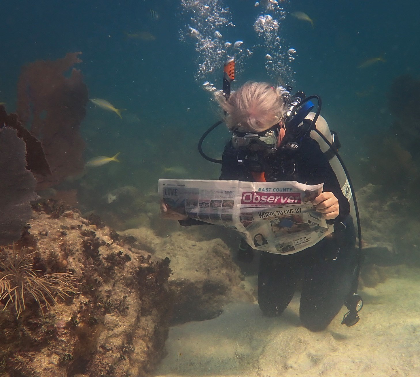 Susan DeVictor brought her East County Observer on her family trip to Coffins Patch Reef in the Florida Keys.
