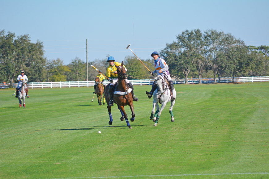 Teams Whiskey Pond and Sienna play hard for the crowd. Polo matches run every Sunday through April 28.