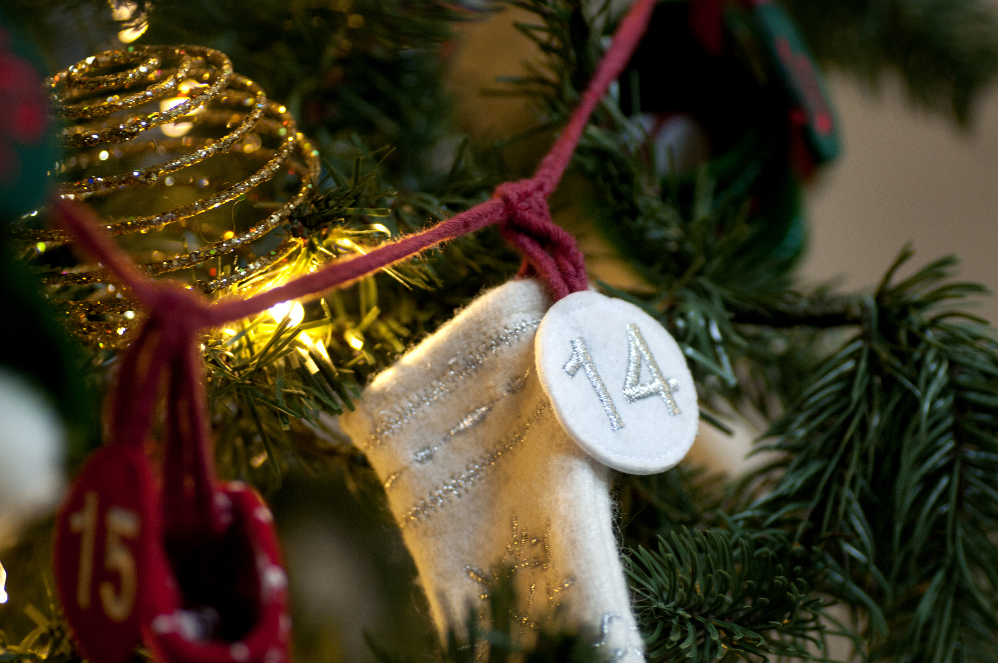 The Drass family encourages their children to think of others with suggestions on giving, tucked inside strands of garland on their tree.