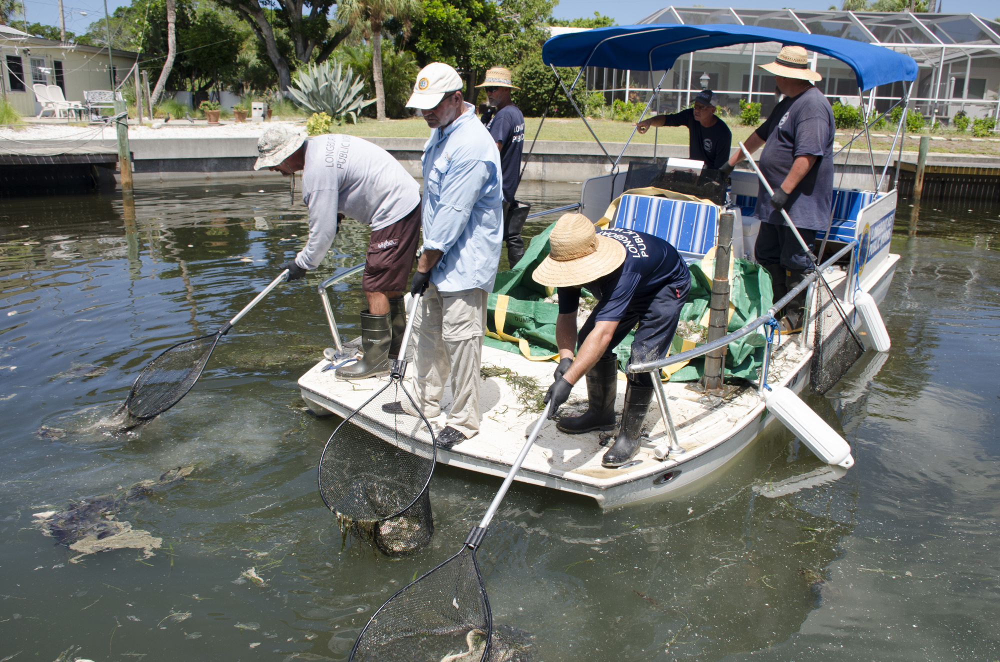 A Longboat crew, complete with Town Manager Tom Harmer, center, cleans up fish kills from red tide in the Key's canals.