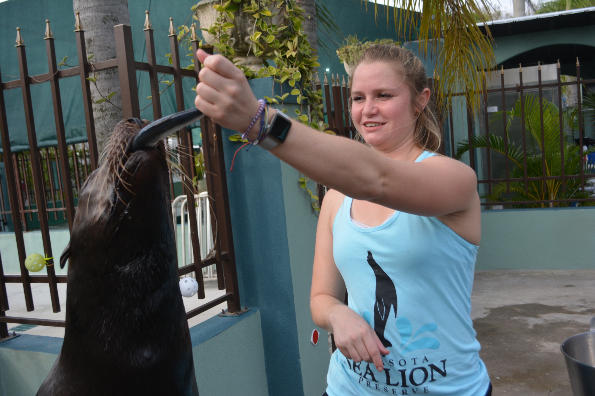 Trainer Tyla Holmes said she spends all of her free time with the sea lions.