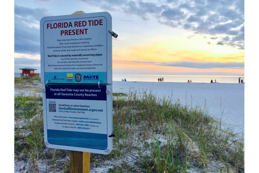 A red tide bloom struck last summer and persisted throughout autumn.