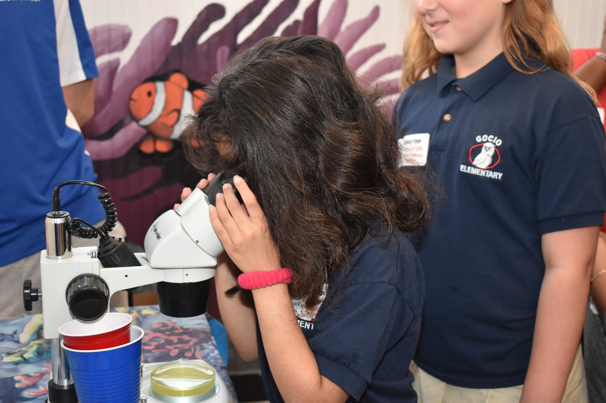Katherine Versagir, a third-grader at Gocio Elementary, got to look at plankton specimen under the microscope.