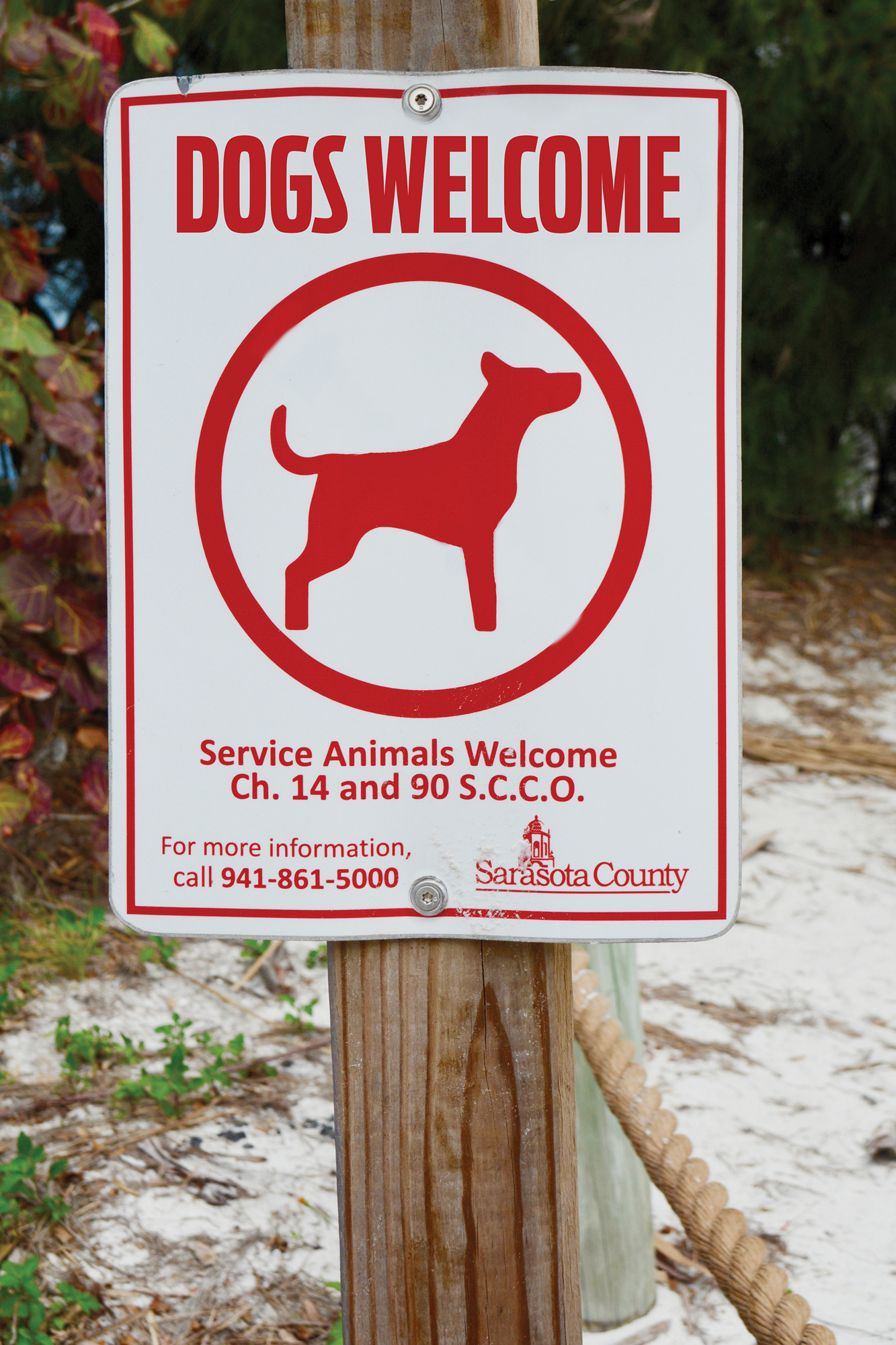 As per state law, dogs must again be allowed on Siesta Key Beach.