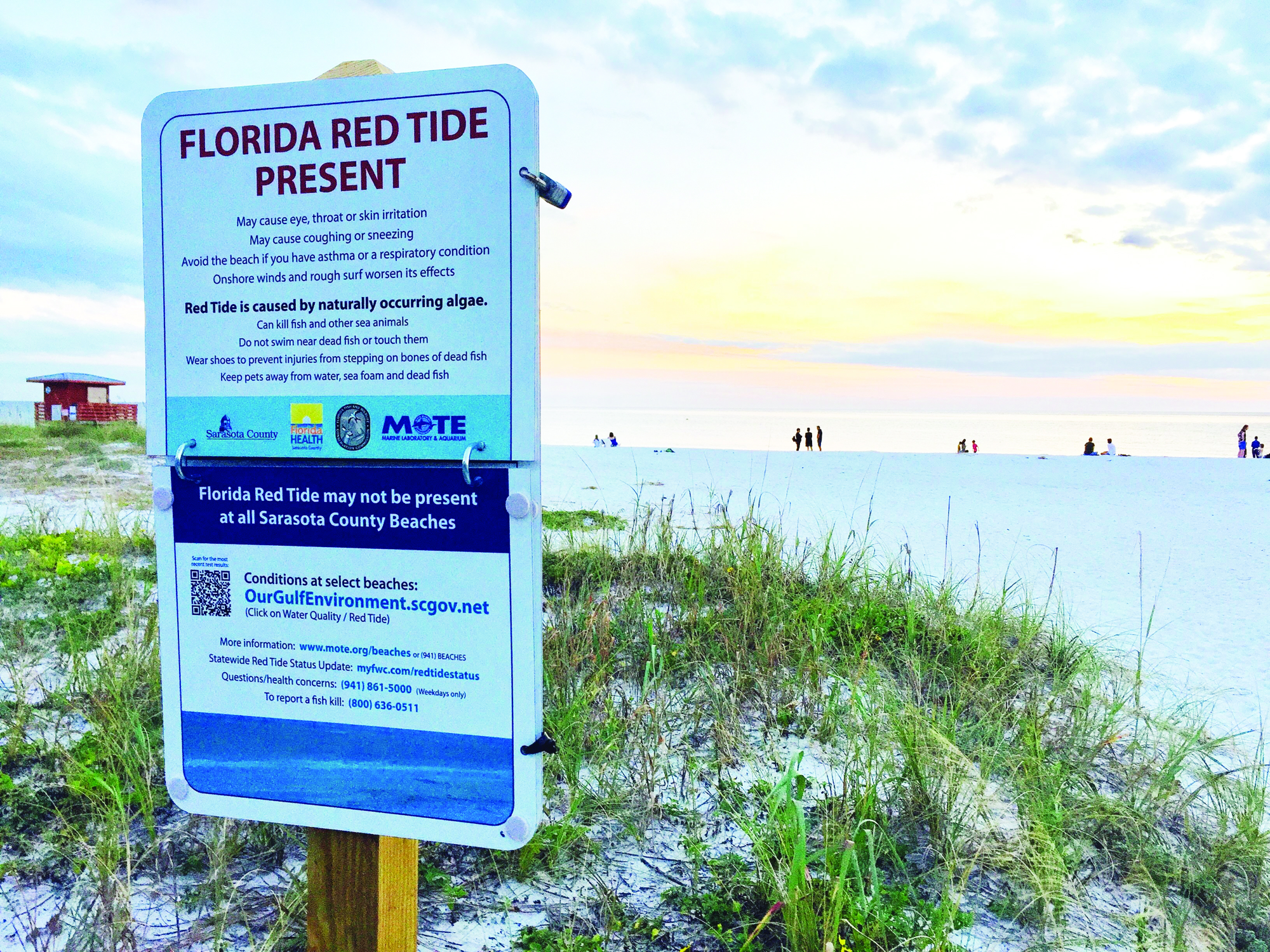 In the second installment of a two-part series, The Observer examines how the community is navigating the challenges associated with red tide in pursuit of meaningful solutions to a complex issue.