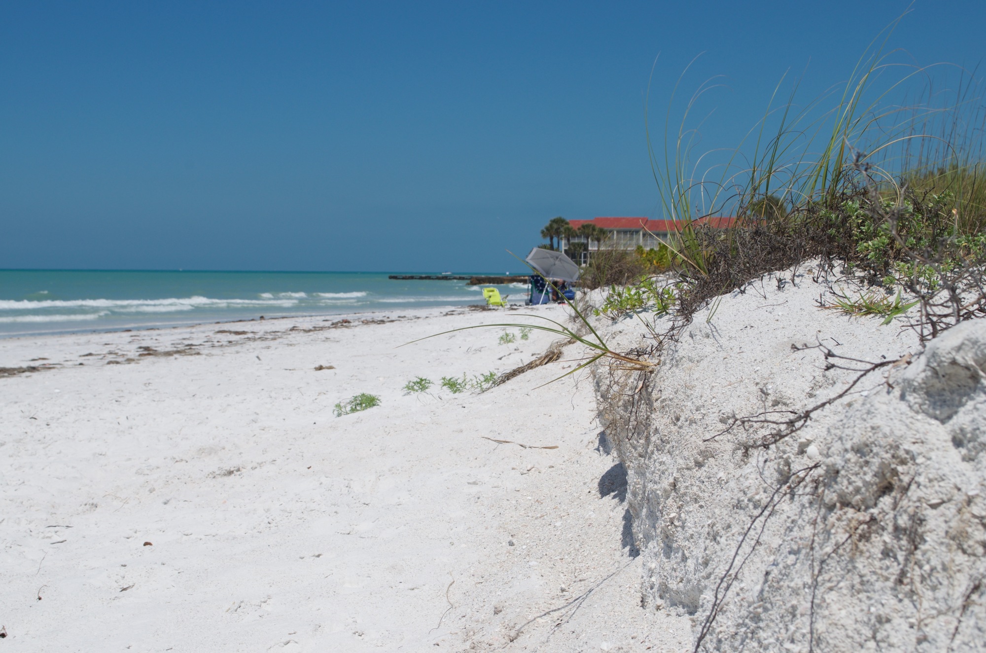 Beach management issues were tops on the lists of some Longboat Key groups.
