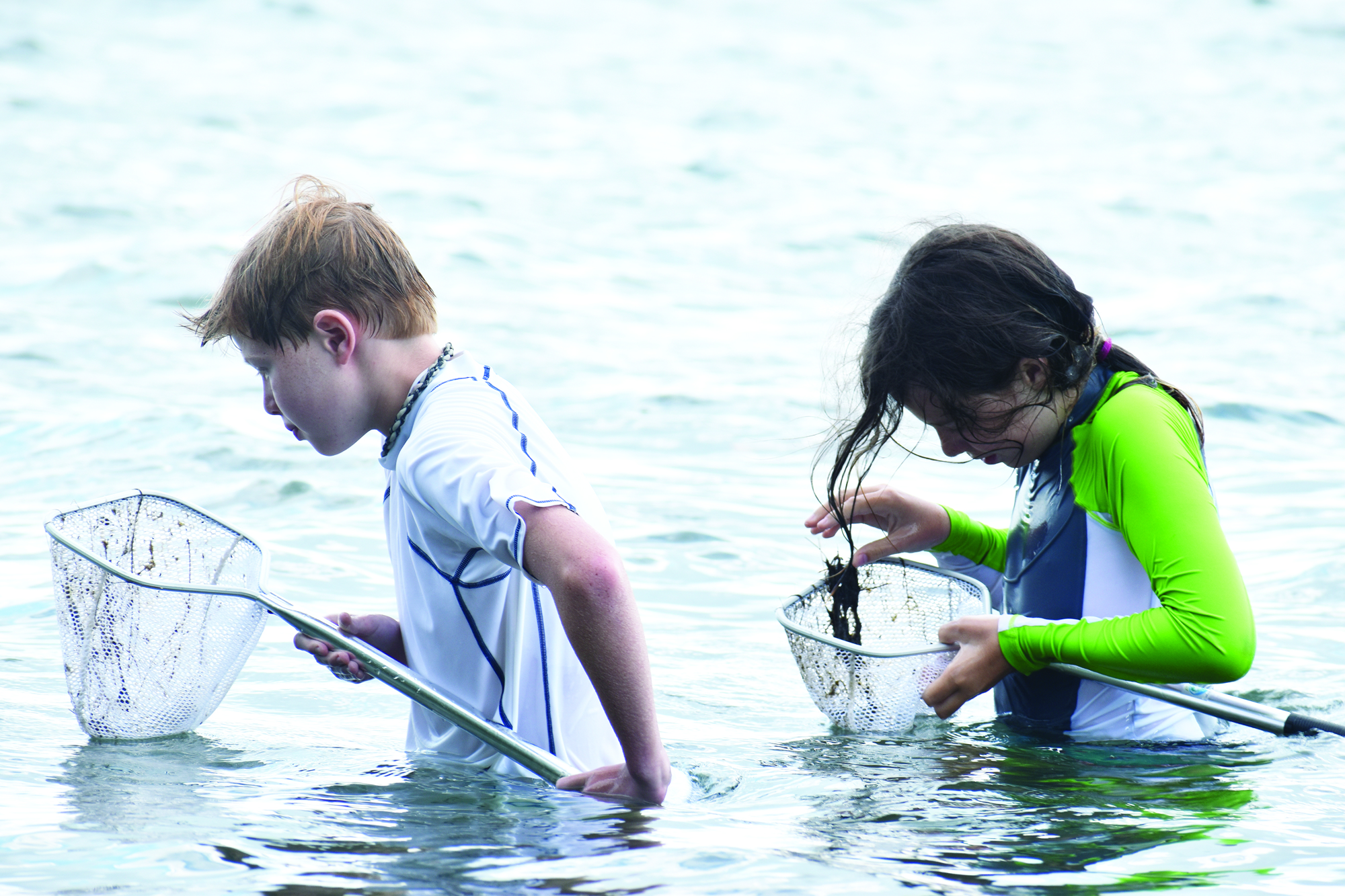 Tripp Rolle and Elliott Benson inspect their nets in search of marine life during a Sea Sleuths camp at Mote in 2018.