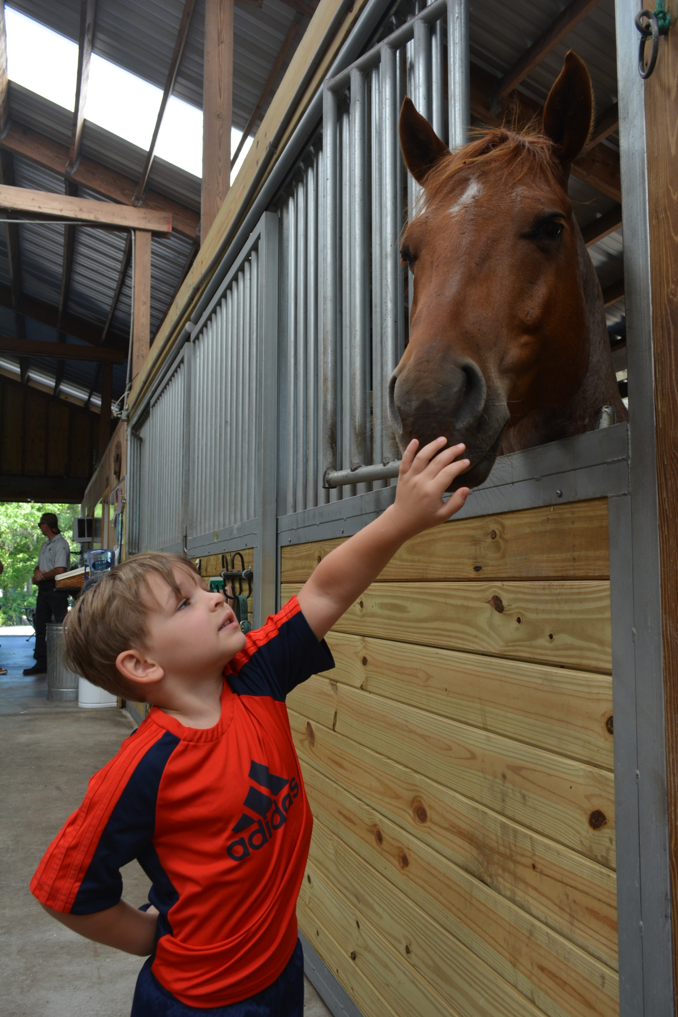 Sarasosta's Evan Ruffer, 4, pets one of the Mounted Patrol Unit horses.