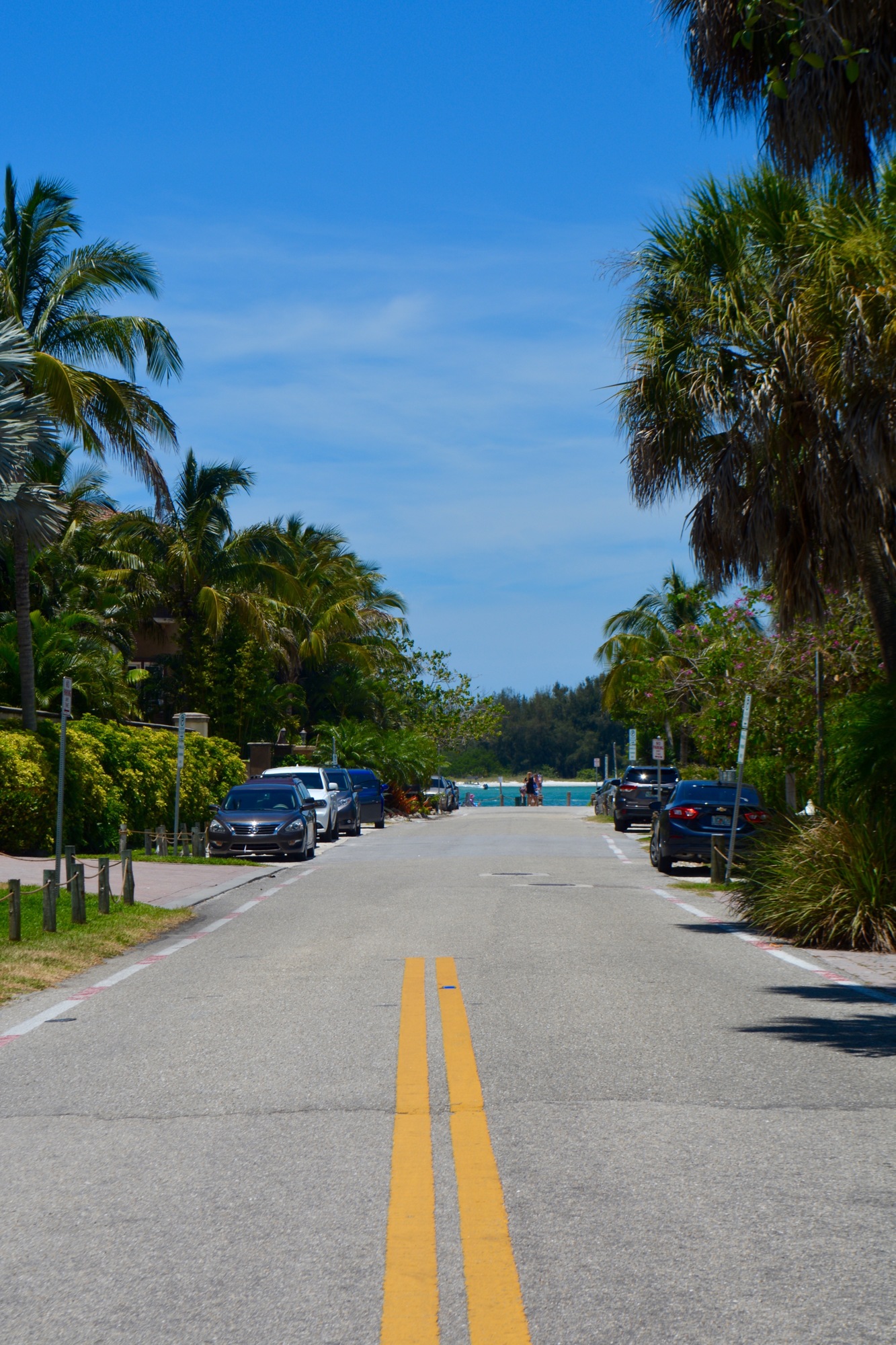 Parallel parking spots are available all along Shell Road, though some residents claim that property owners have moved to intentionally block parking spaces