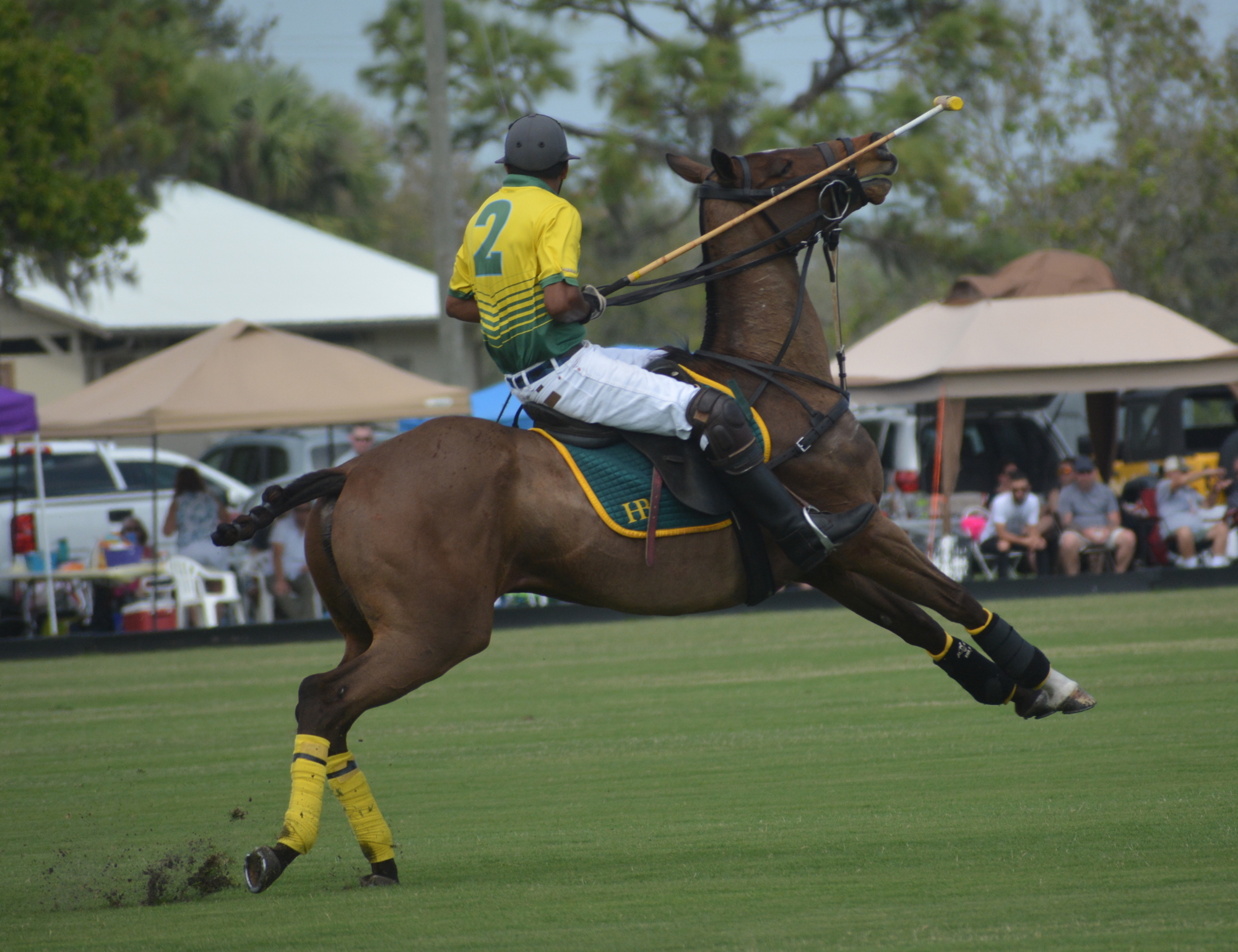 Manuel Ontiveros comes to a quick halt during a match. The turf in polo takes an incredible beating.