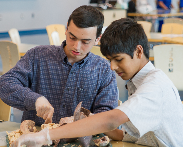 Nicolas Brunetti and Neel Gupta dissect a lung at the Medical Science Academy.