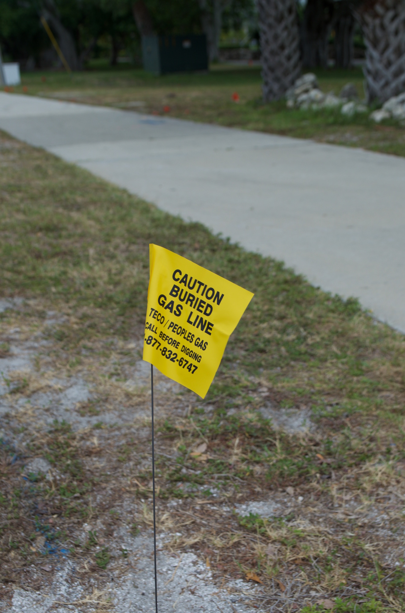 Buried gas lines have proven difficult to avoid in the past several weeks on Longboat Key.