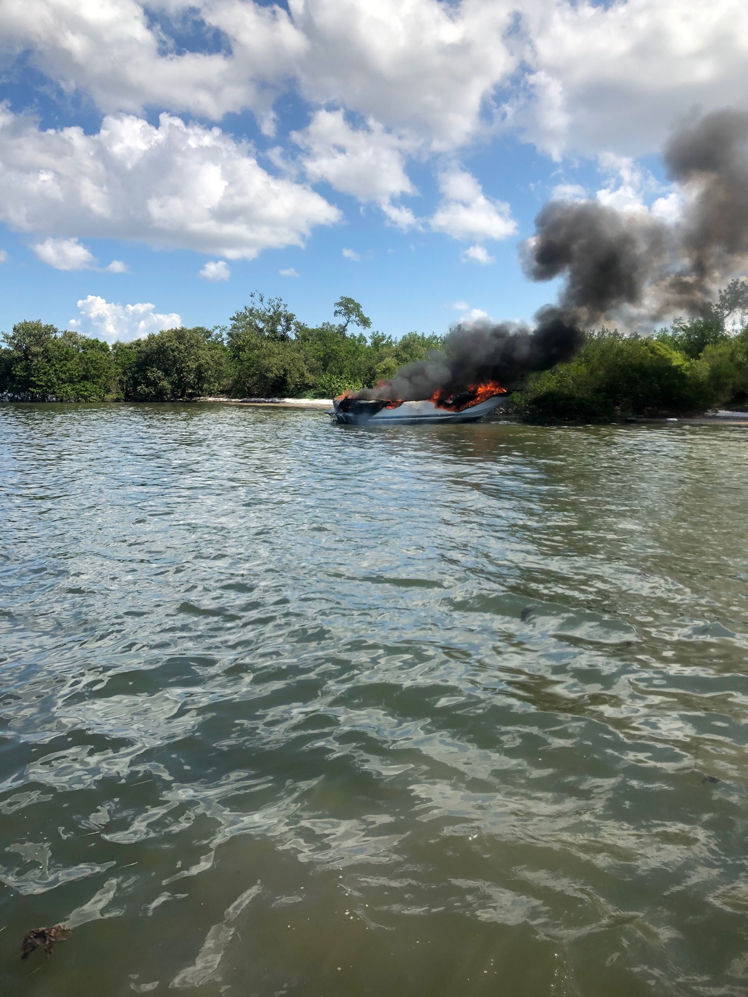 Photos taken by Manatee County Sheriff's Office deputies on scene on June 4, 2019. All photos courtesy of MCSO.