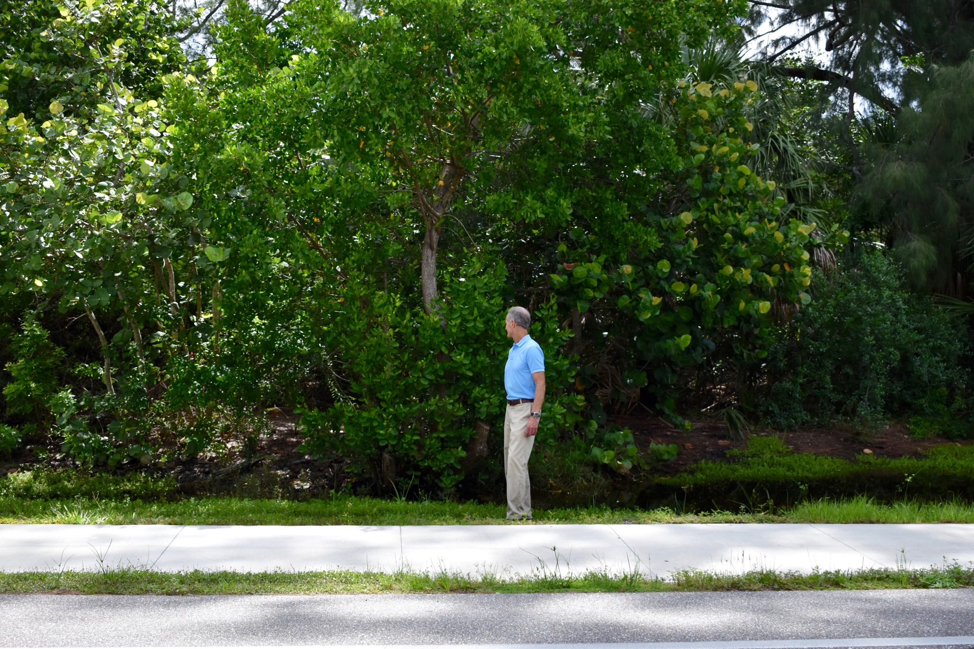 Bill Saba examines part of the land he sold, which had been in his family almost 90 years.