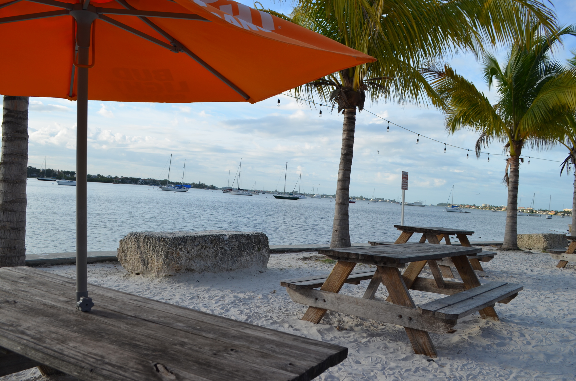 At O’Leary’s, you can dine with your toes in the sand and your pooch by your side.