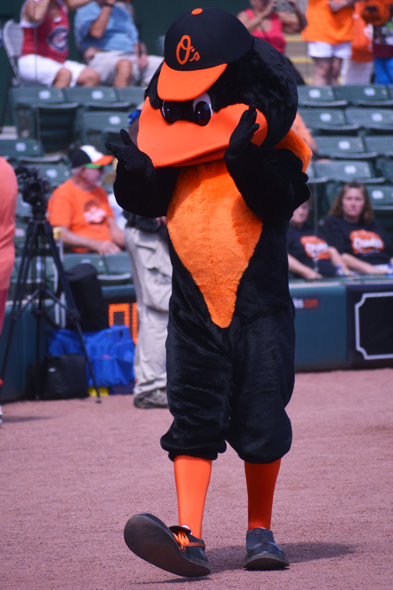 The Oriole Bird fires up the crowd.