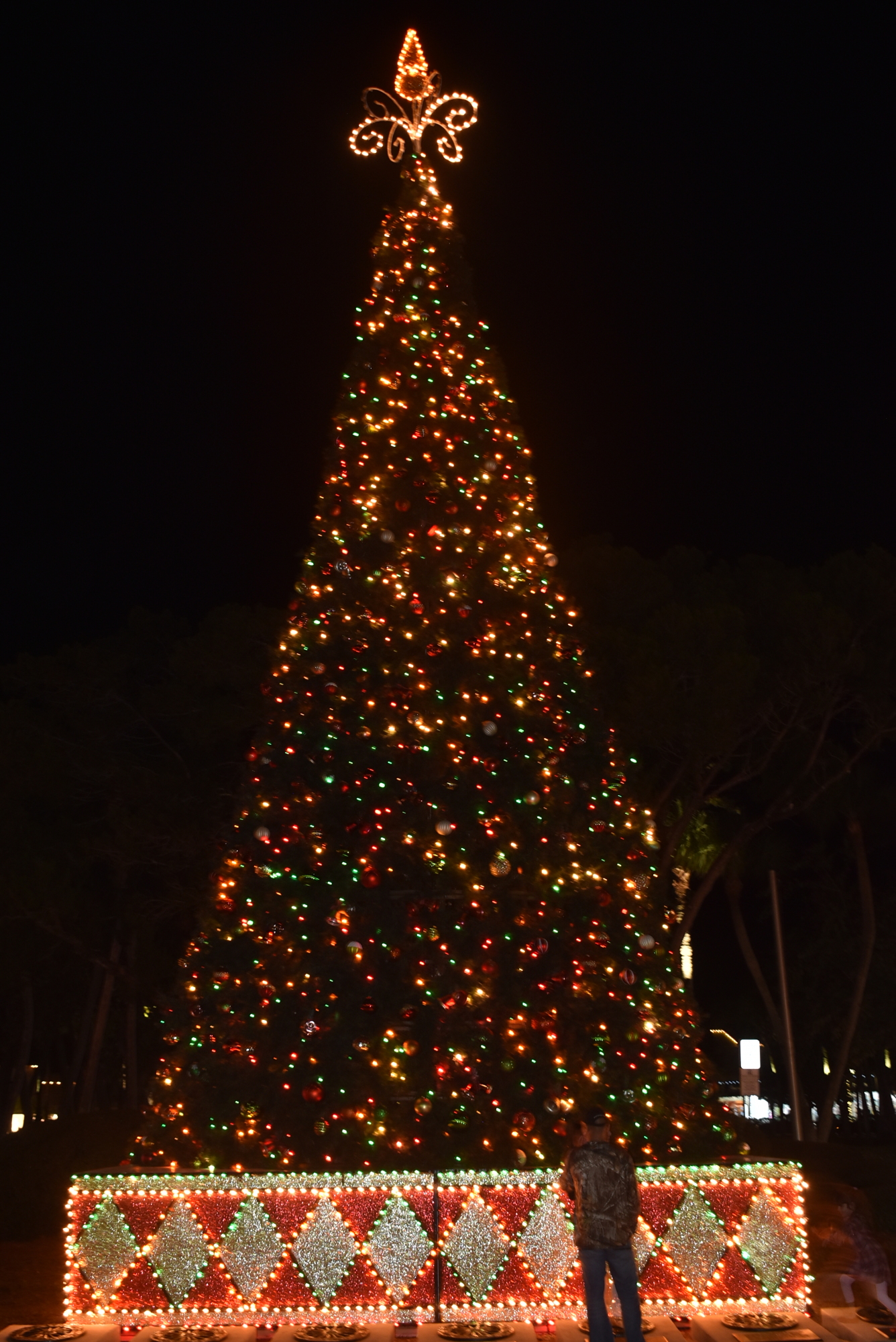 The 55-foot tree on St. Armands Circle is always a favorite.