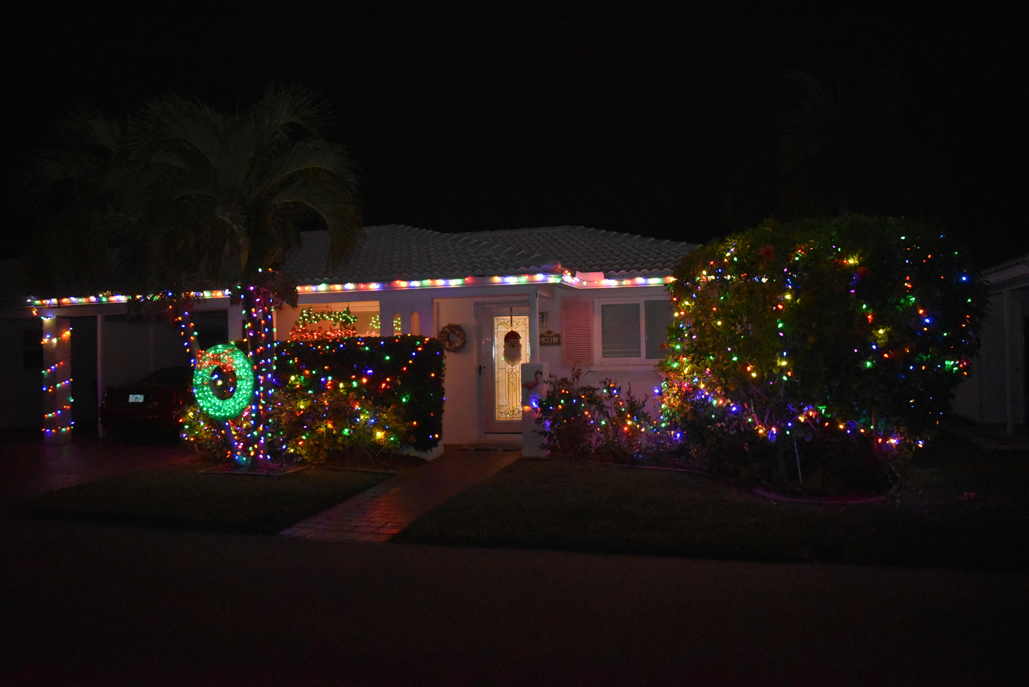 Bright bushes front this house on El Centro Drive.