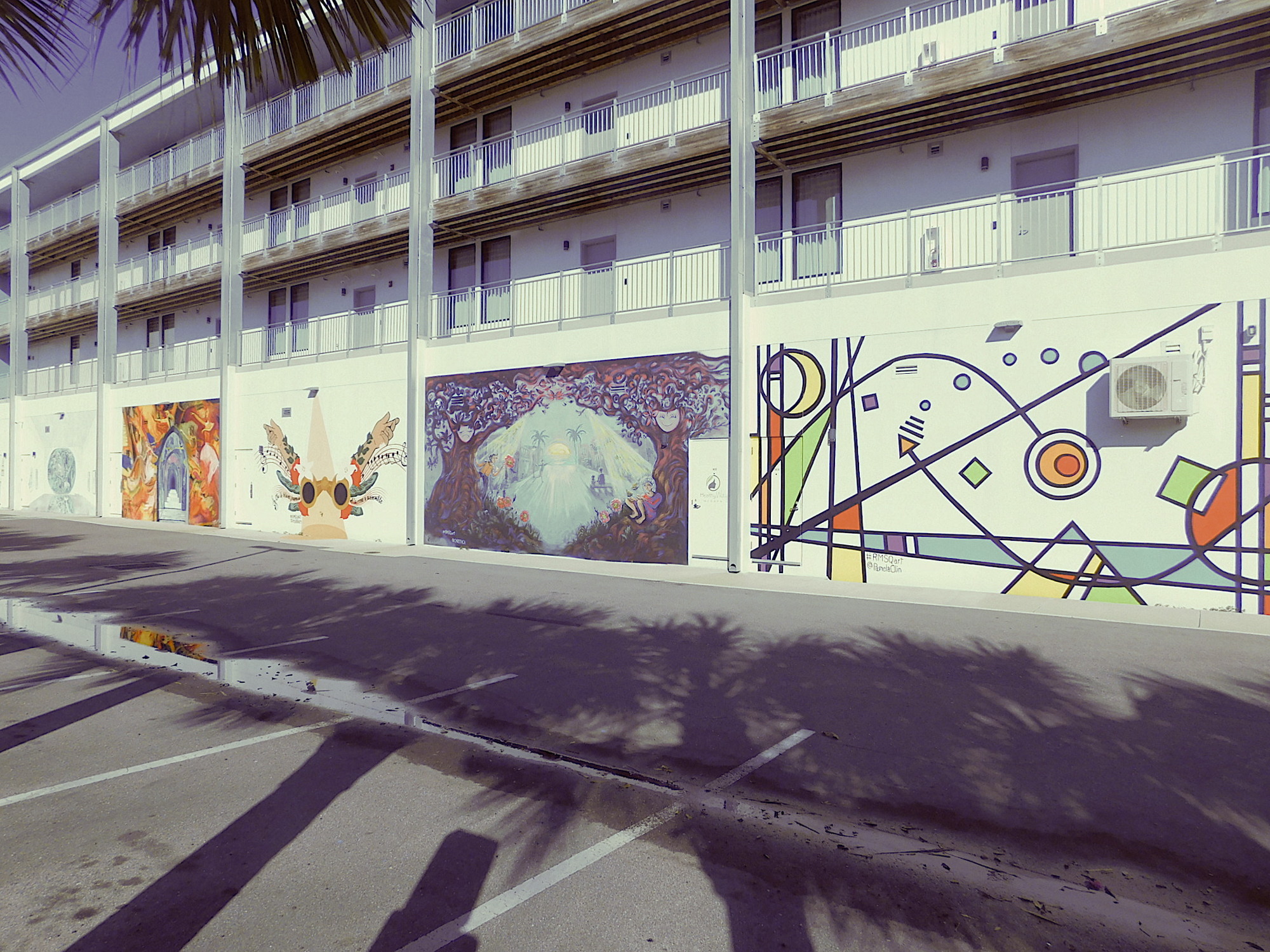 The row of five murals representing five disciplines line up along the southern-facing wall at Rosemary Square. (Klint Lowry)