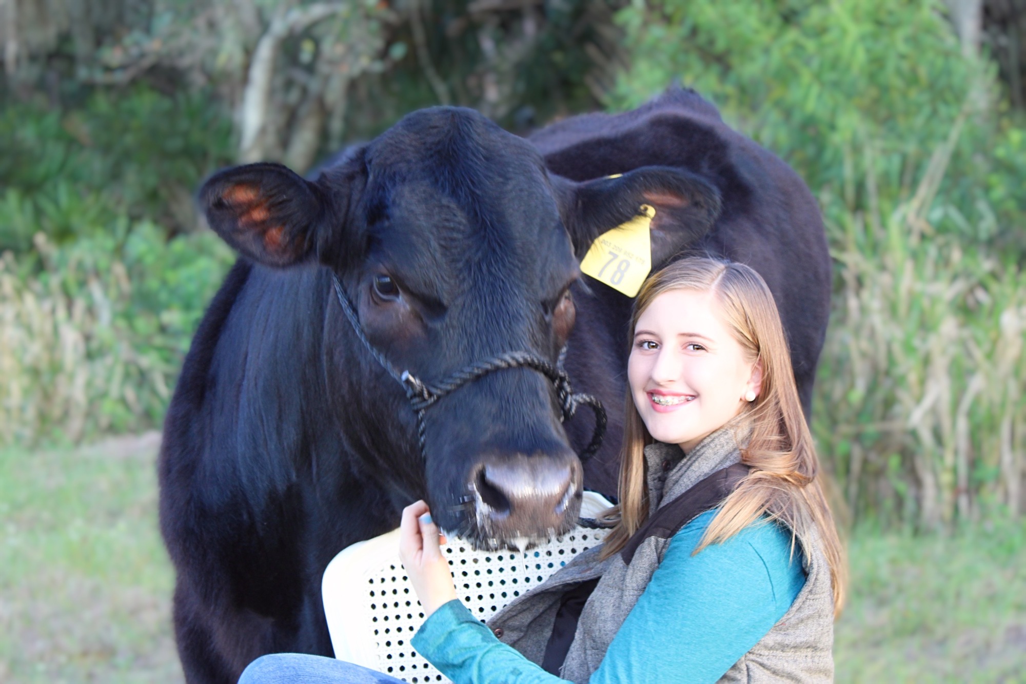 Emma Radley, a sophomore at Braden River High School, will show her steer, Bingo, who weighs around 1,500 pounds, at the fair.