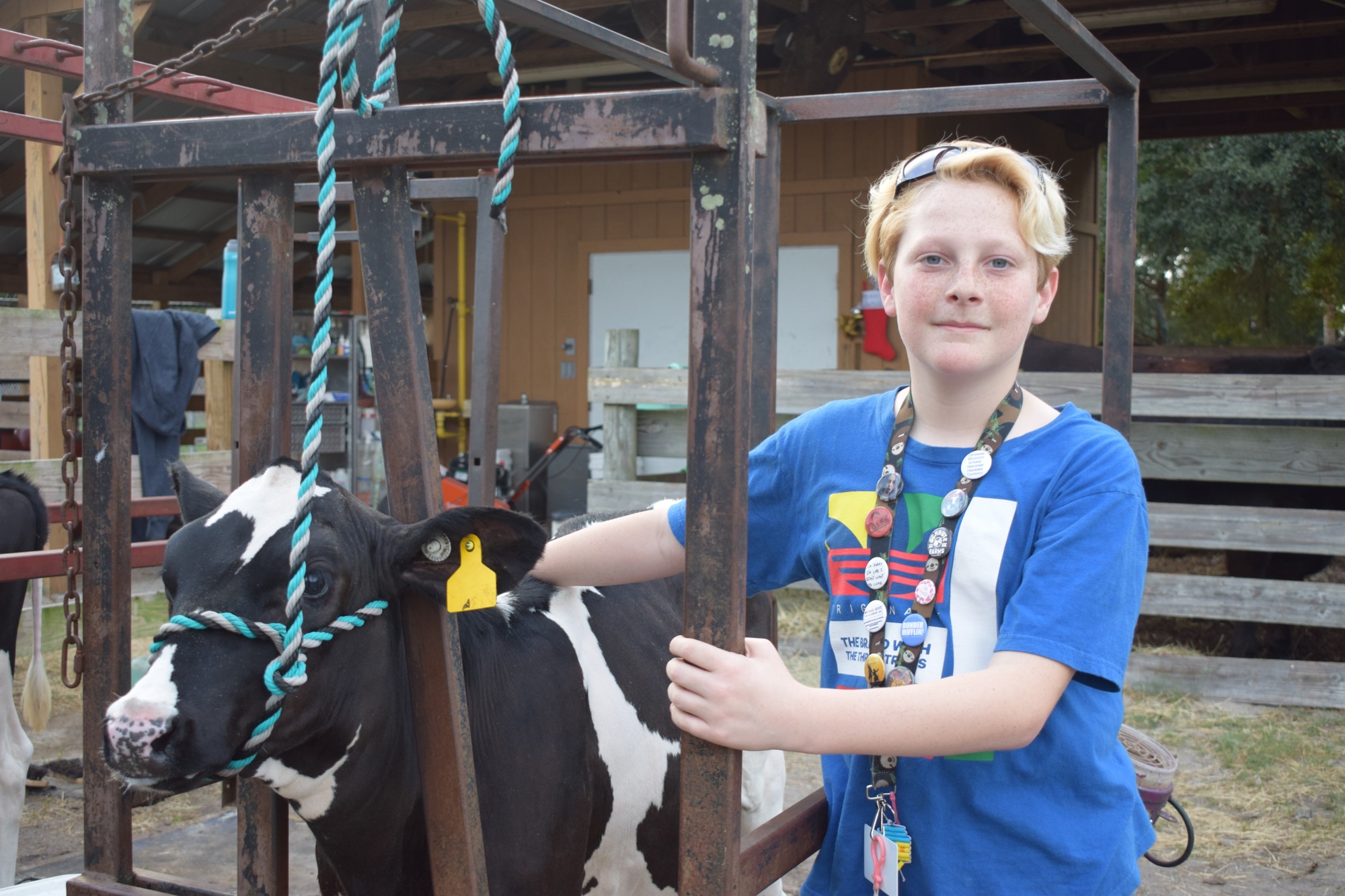 Byron Simon, a seventh grader at R. Dan Nolan Middle School, is excited for every aspect of showing his two heifers and a pig at the Manatee County Fair.