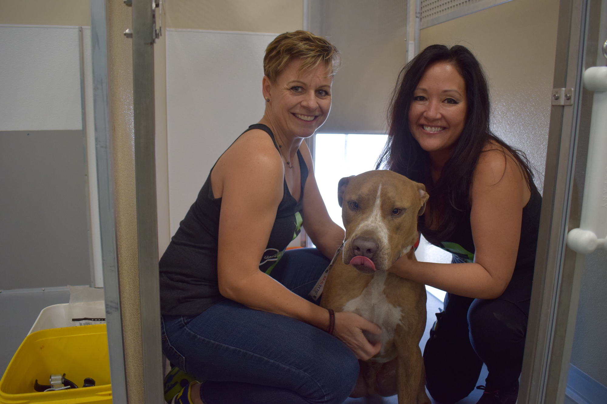 Monaka Oberer and Rebekah Boudrie pose with Cody, a pit bull who is up for adoption at the Humane Society of Lakewood Ranch.