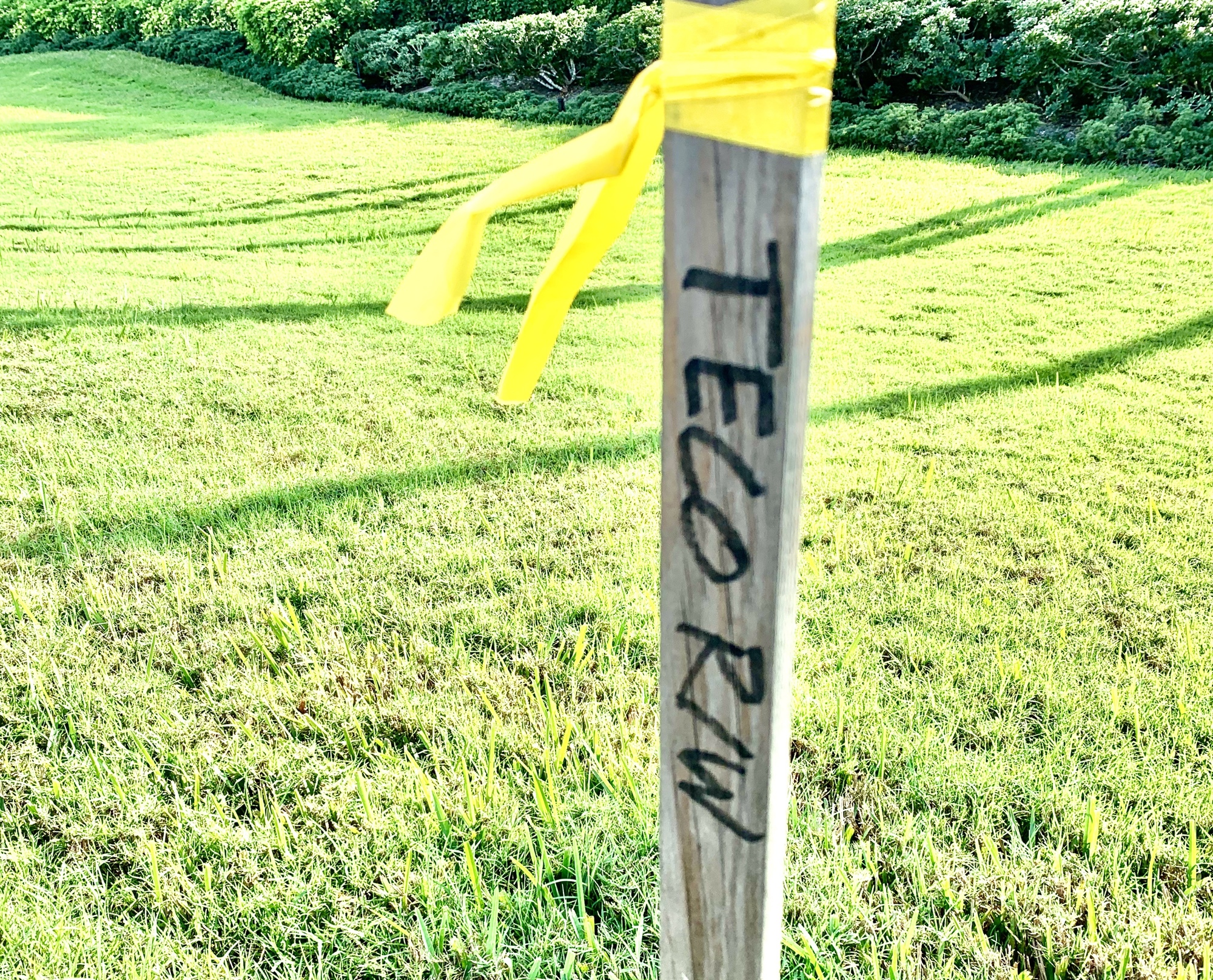 Yellow ribbons mark the location of the area in which workers were operating along Gulf of Mexico Drive.