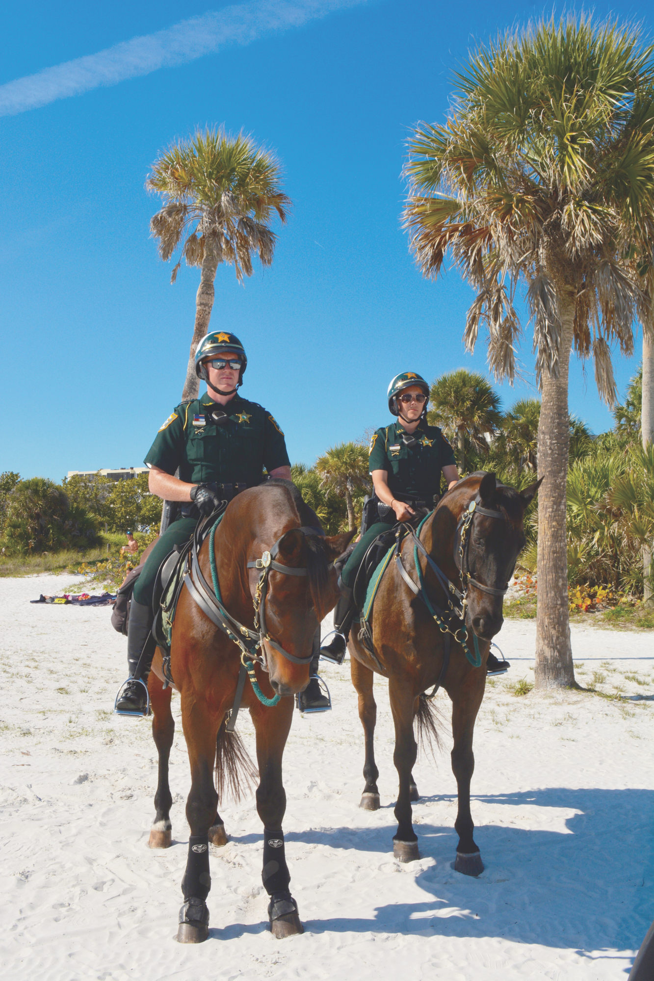 Mounted patrol officers will begin making appearances on Siesta Beach starting March 5.