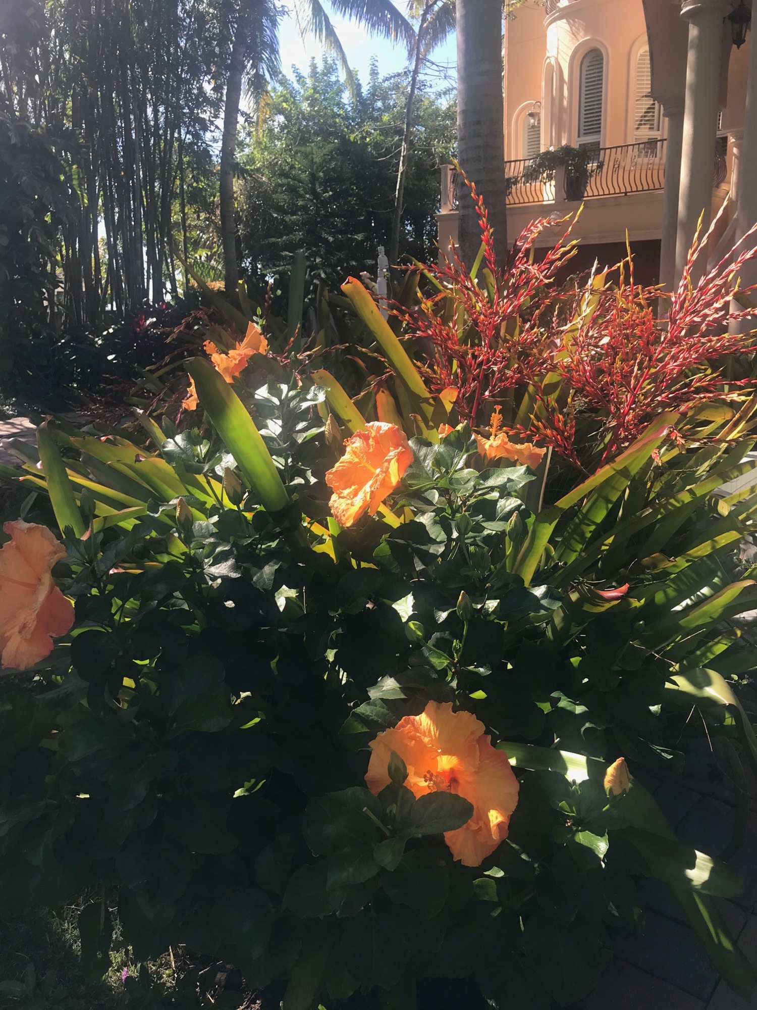 Master Gardeners from the UF/IFAS Extension program will act as docents during the tour.