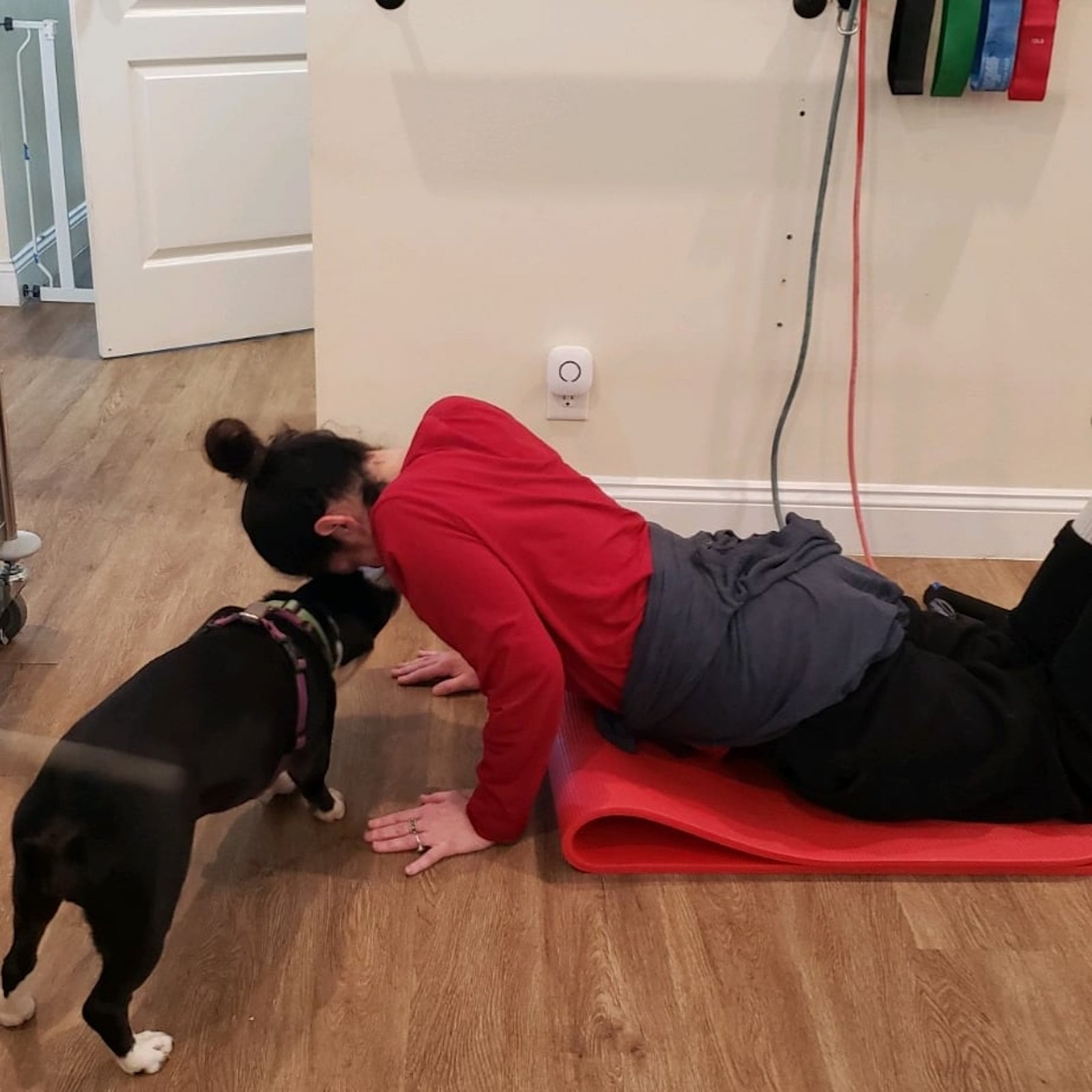Kacy Coltun exercises at home with her dogs.
