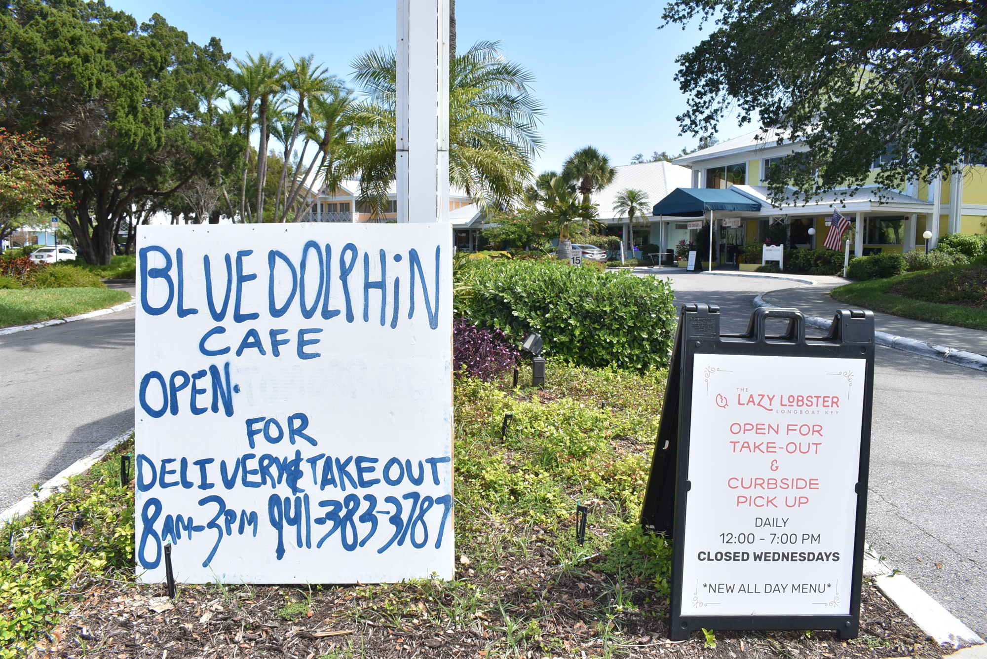 Blue Dolphin Cafe and Lazy Lobster advertise their delivery and takeout services.