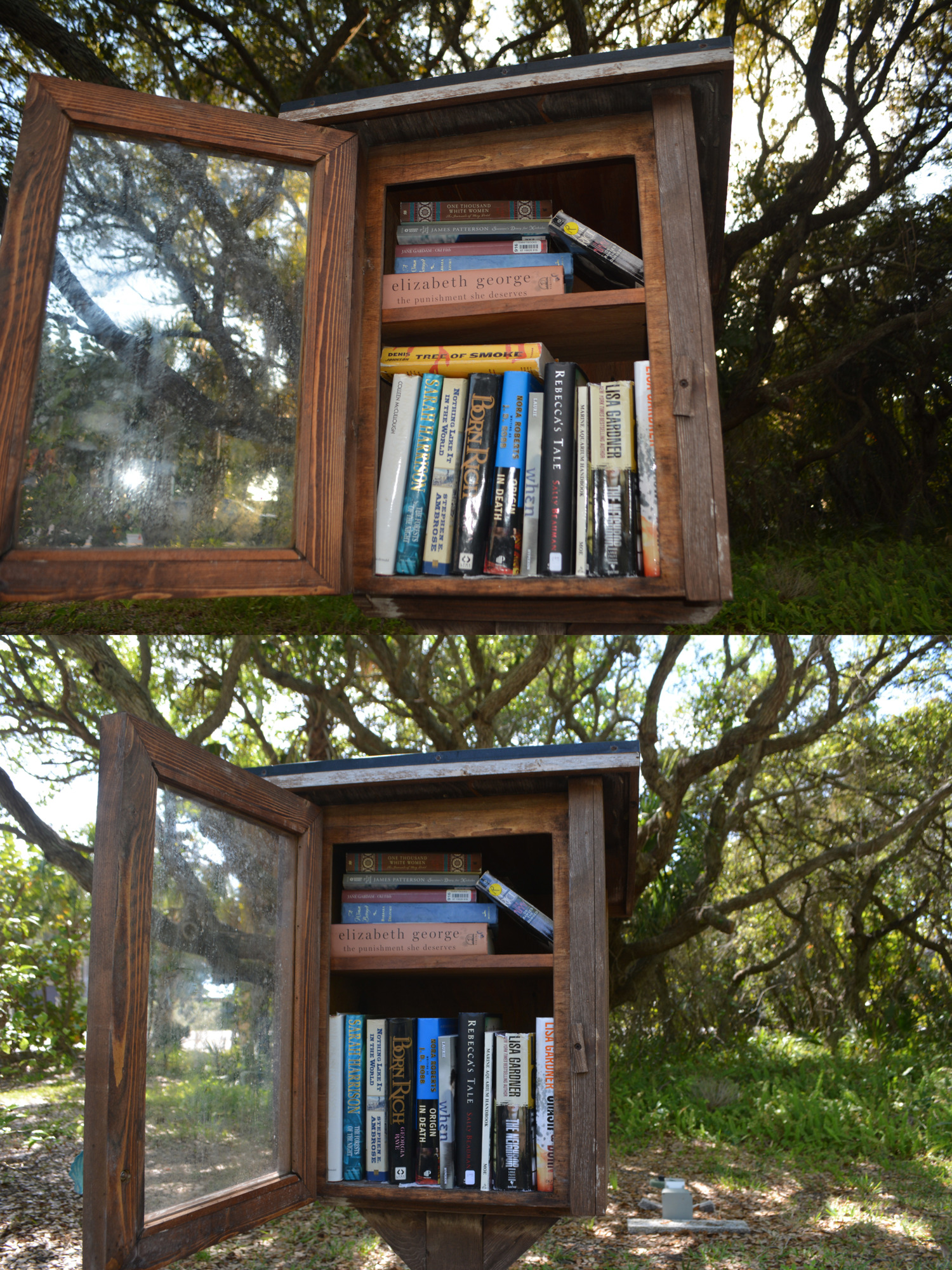 The Little Free Library at Bicentennial Park on March 6 (top) and March 12.