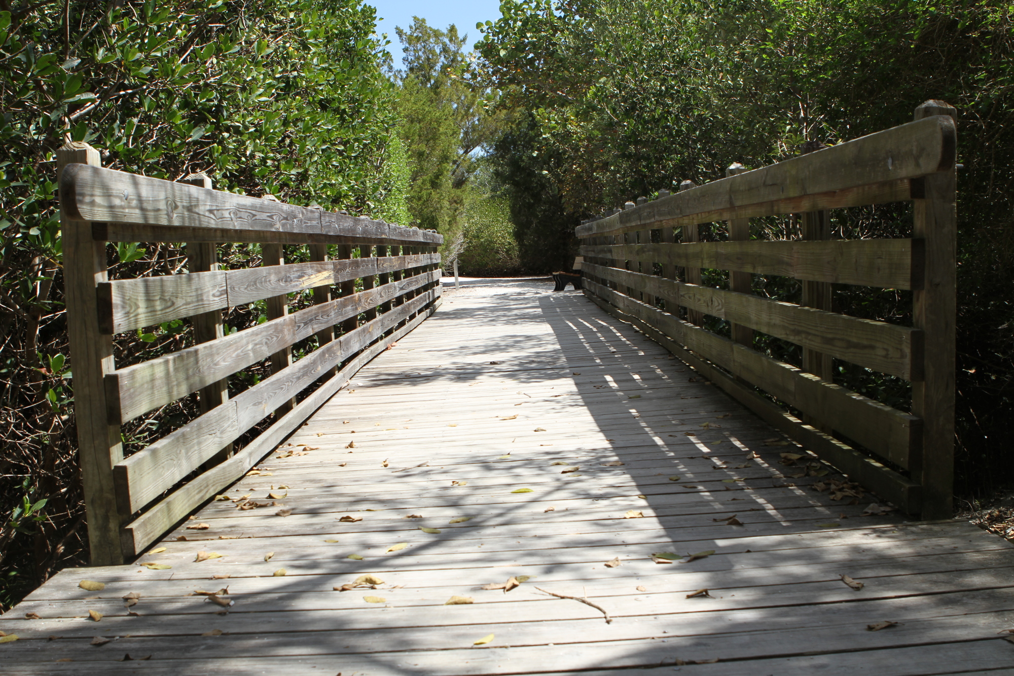 At Joan Durante Park, wooden pathways lead back into the wilderness.