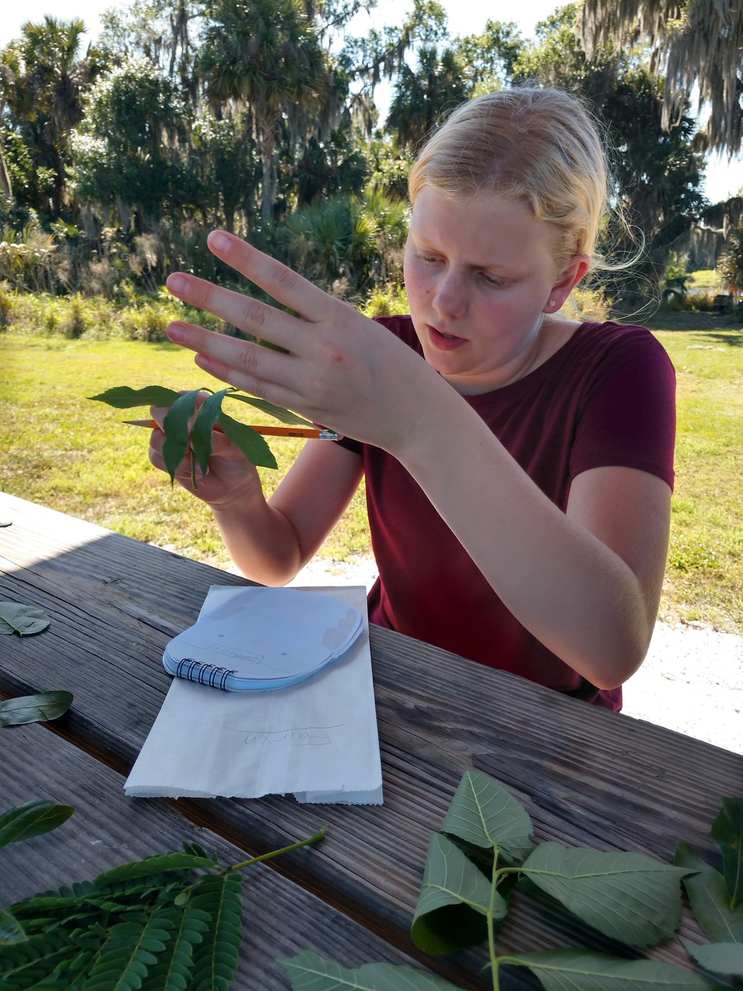 Fairyn Wiegand does a leaf identification assignment. Wiegand's mother, Sarah, has been homeschooling her children for 15 years and encourages them to spend time outside. Courtesy photo.