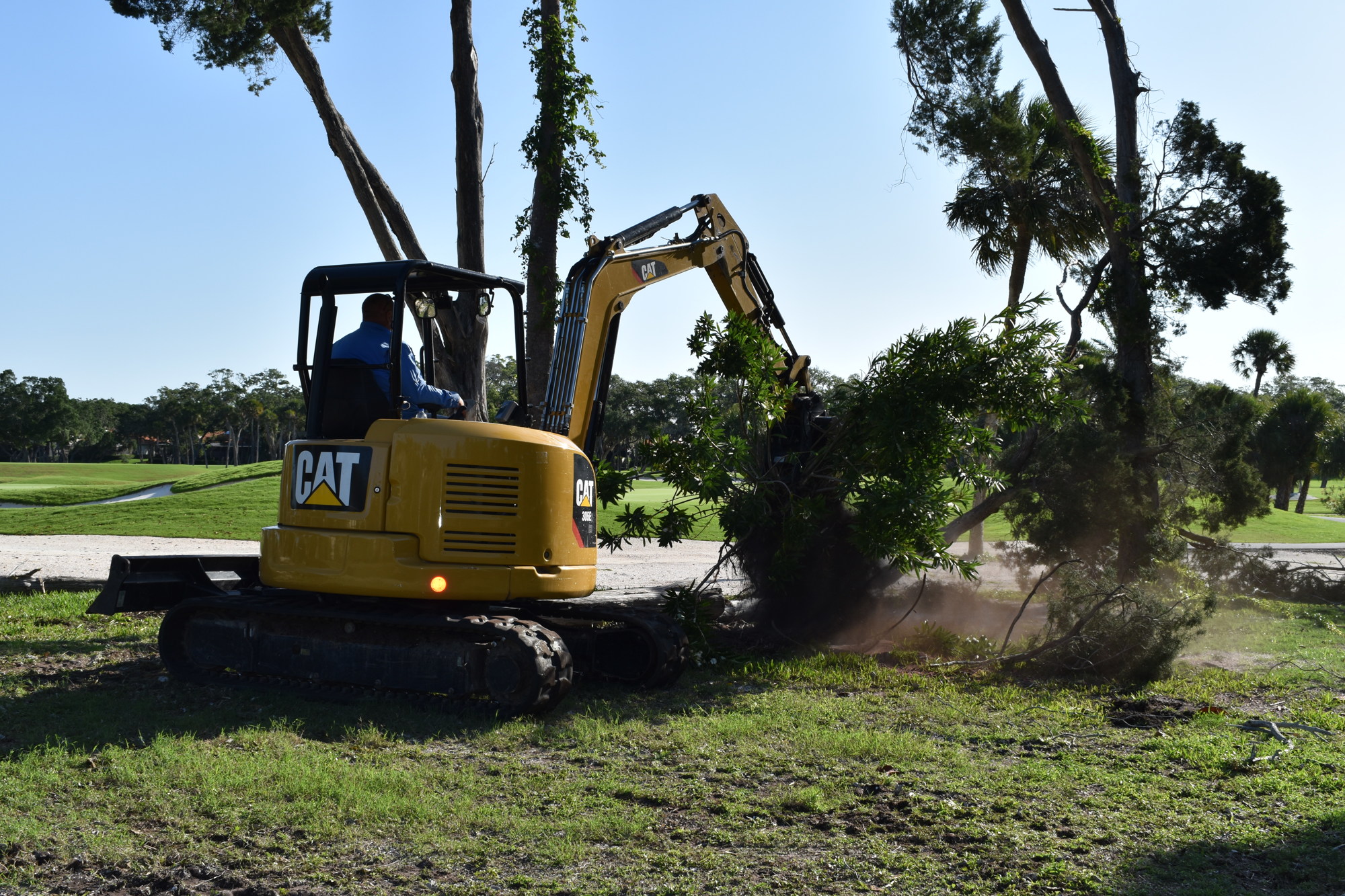 Crews cleared trees to create space for a temporary trailer just north of Station 92 at 2162 Gulf of Mexico Drive.