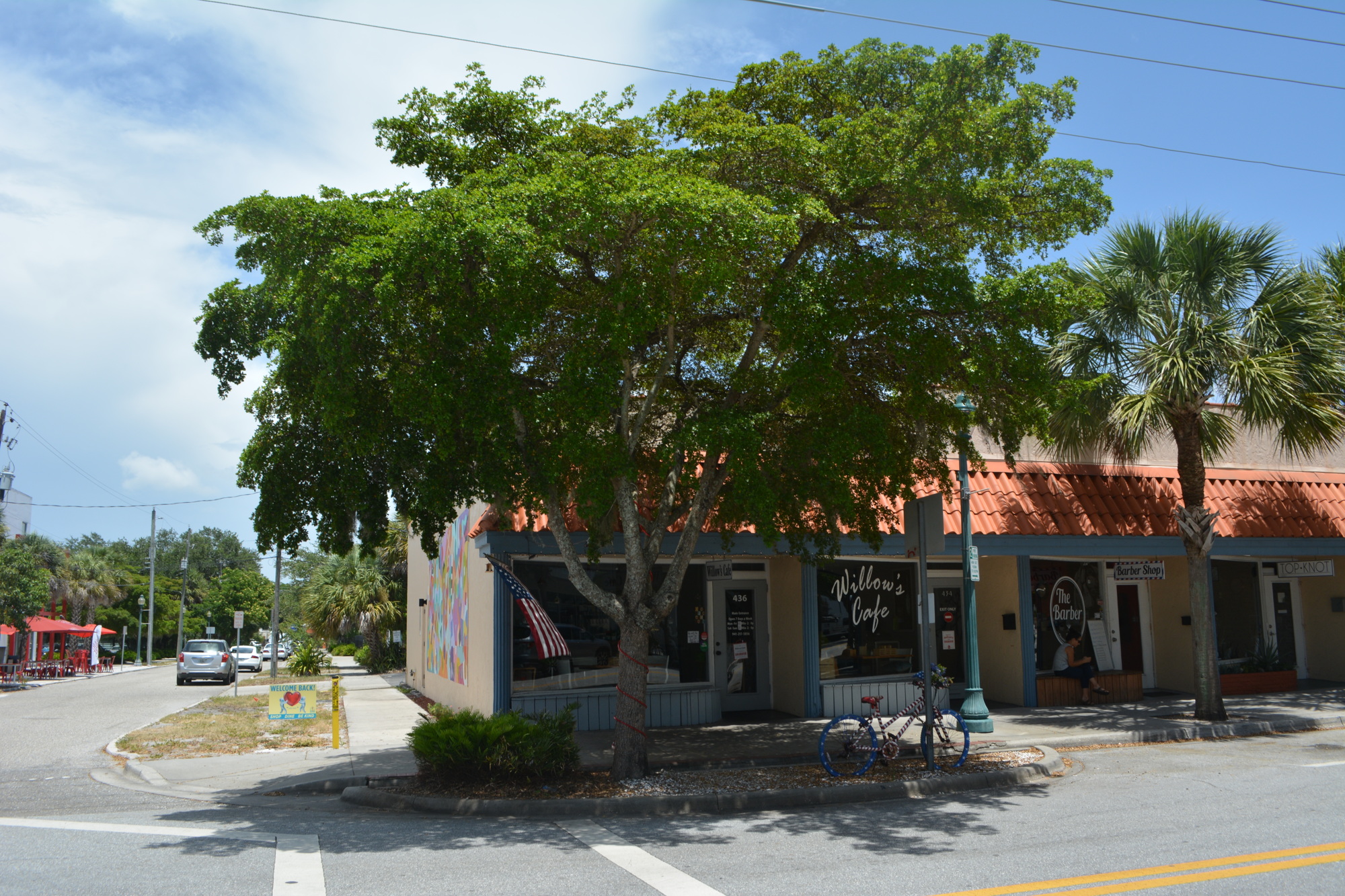 A large oak tree at the corner of Central Avenue and Fifth Street was a themeatically fitting selling point when Whitney Willis was looking for a place to open Willow’s Café.